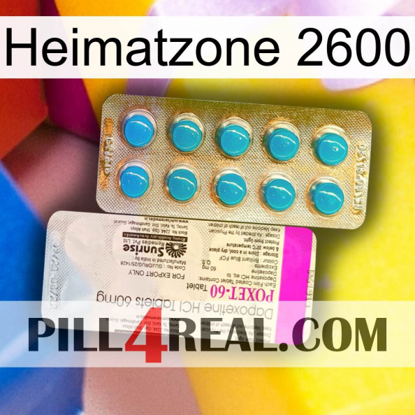 Home Zone 2600 new07.jpg
